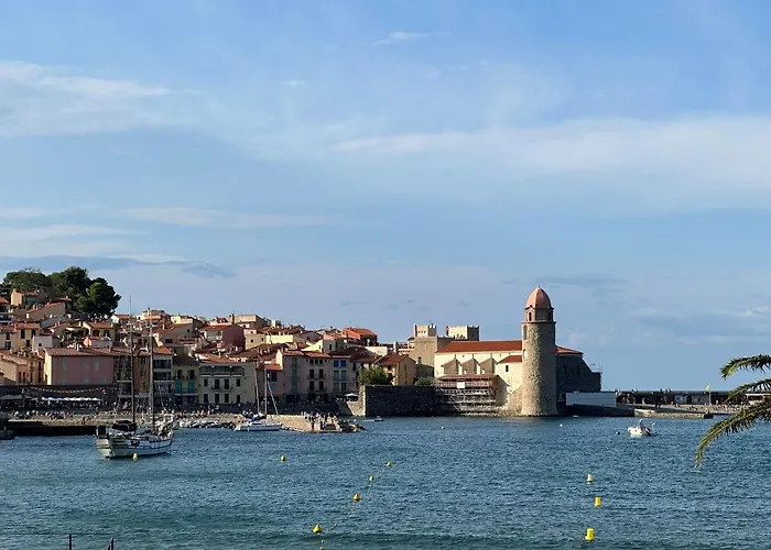 Appartement T2 A 50M De La Plage A Collioure - Fr-1-309-407