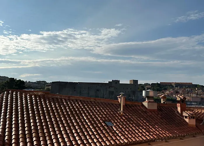 Appartement T2 A 50M De La Plage A Collioure - Fr-1-309-407